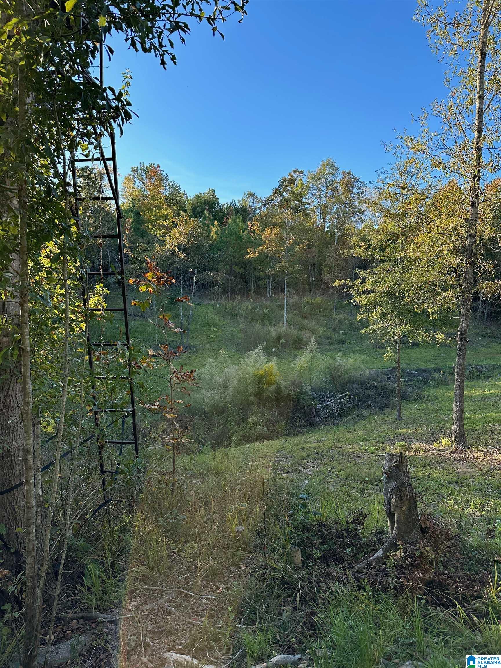 0 Reed Creek Drive Shelby, AL 35143 - Photo 9 of 15