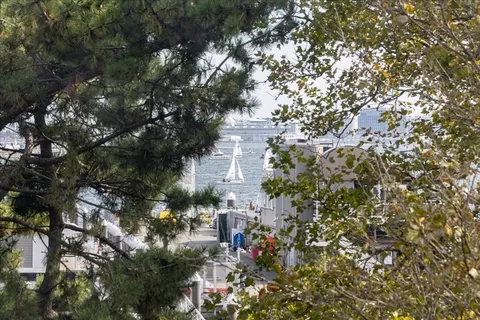 a view of a house with a yard and plants