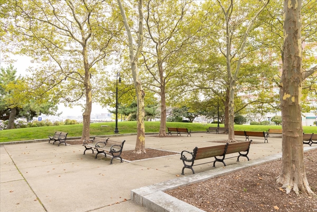 42 8th Street, Unit 5316 Boston, MA 02129 - Photo 34 of 39 a view of a park with bench and trees