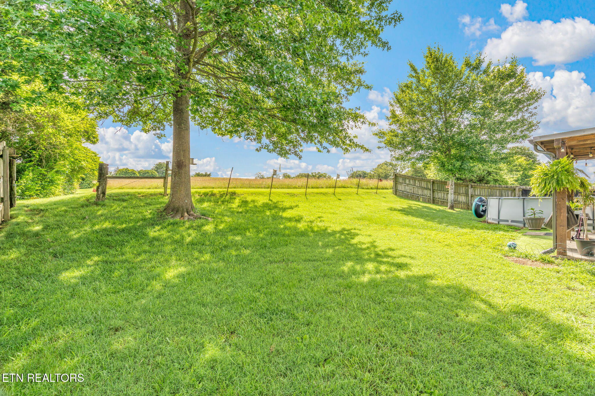 7527 Wheatmeadow Road Corryton, TN 37721 - Photo 24 of 33 Farm Land Views