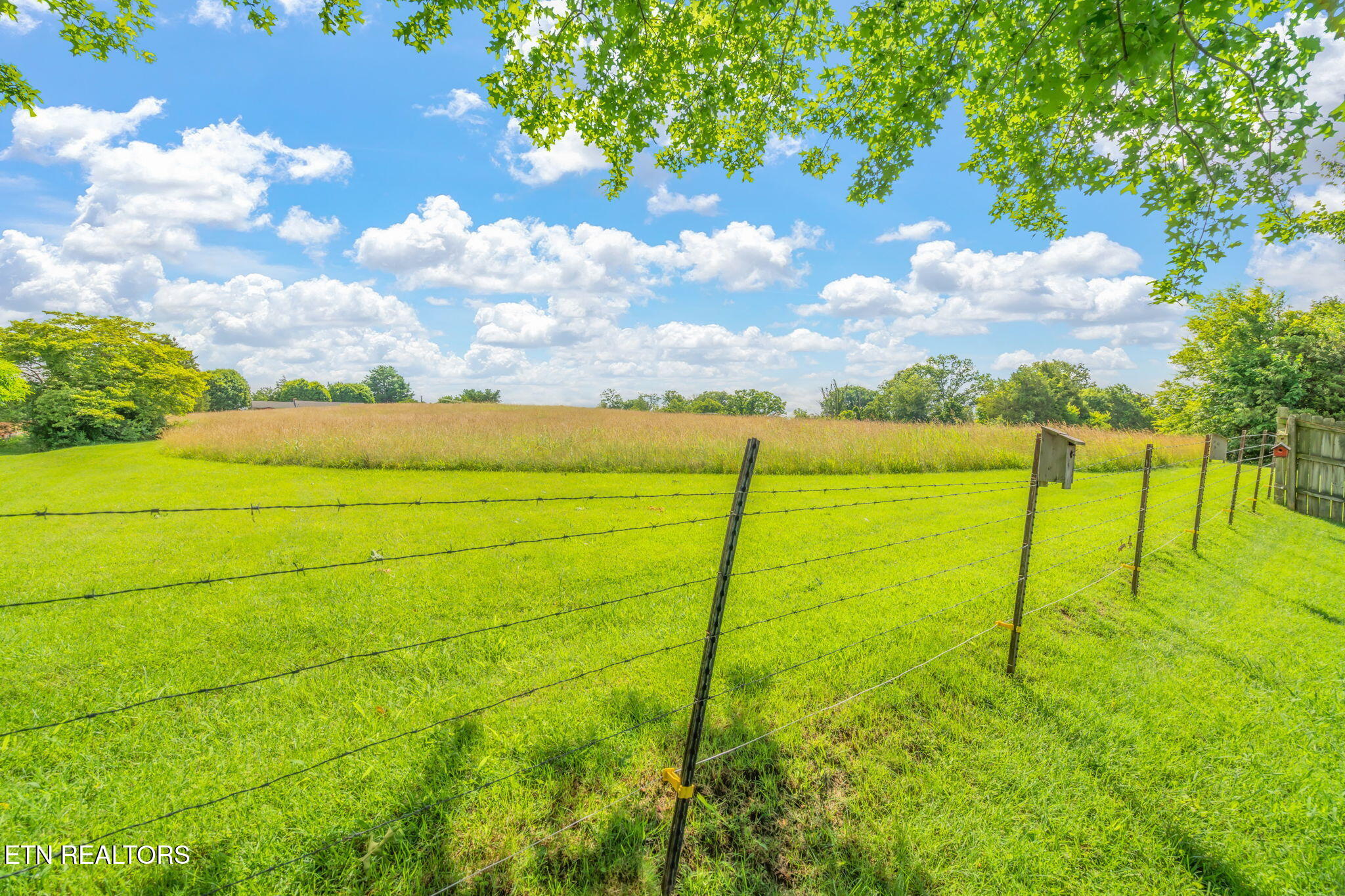 7527 Wheatmeadow Road Corryton, TN 37721 - Photo 30 of 33 Farm Land Views