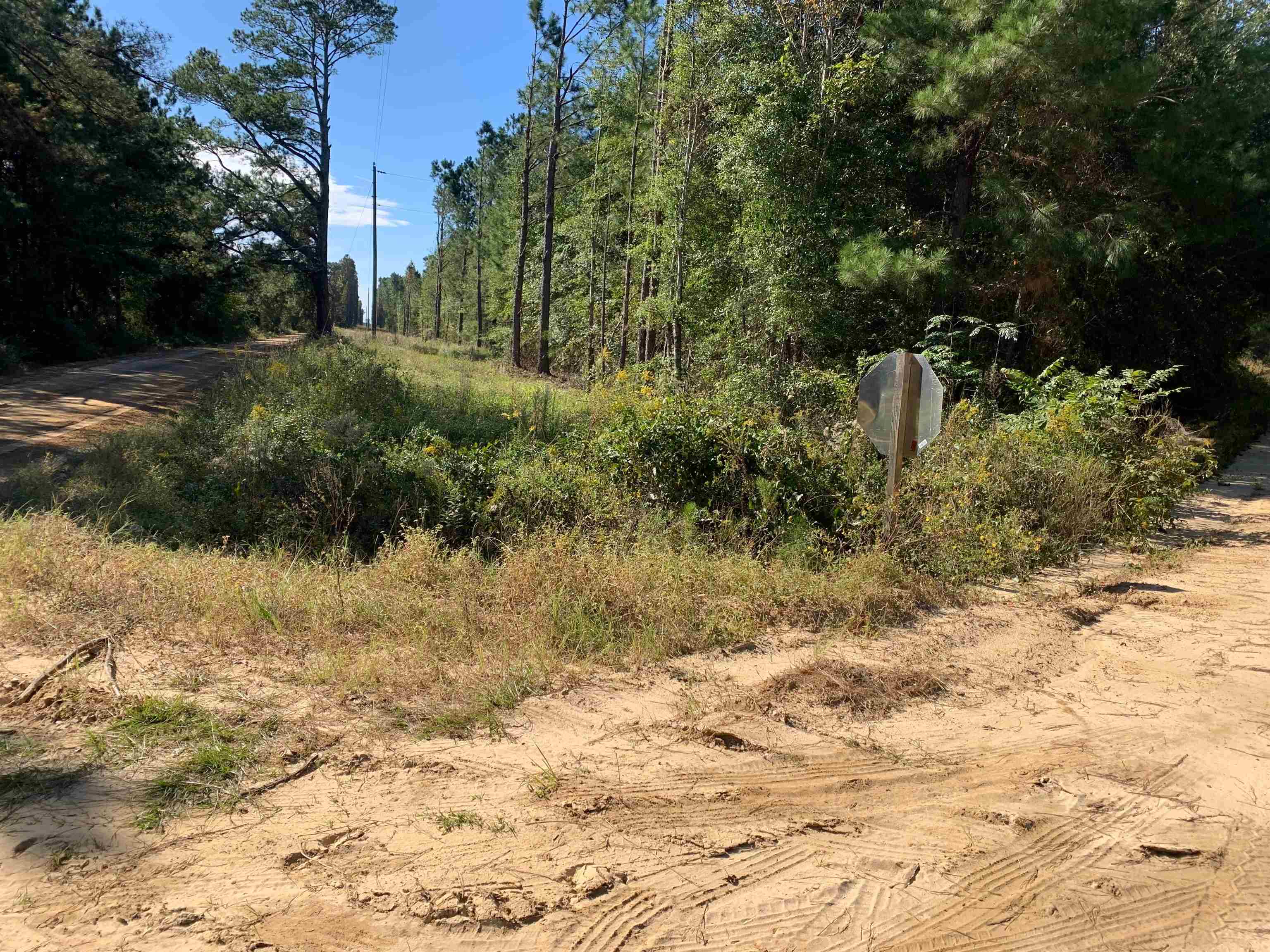 Antioch Church Road Road Eastman, GA 31023 - Photo 6 of 7