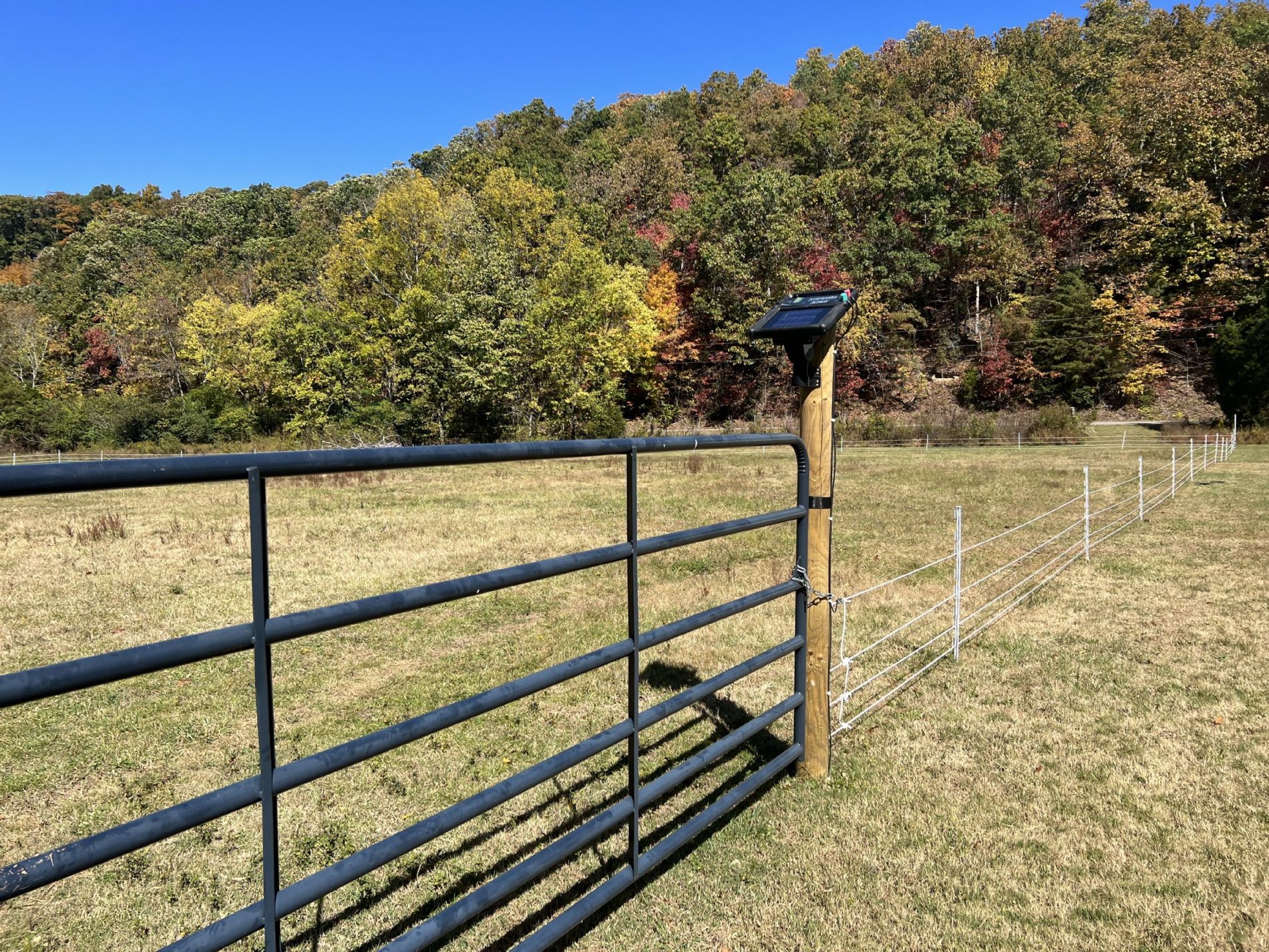387 Goodman Branch Road Hohenwald, TN 38462 - Photo 4 of 30 Gallery Image 4