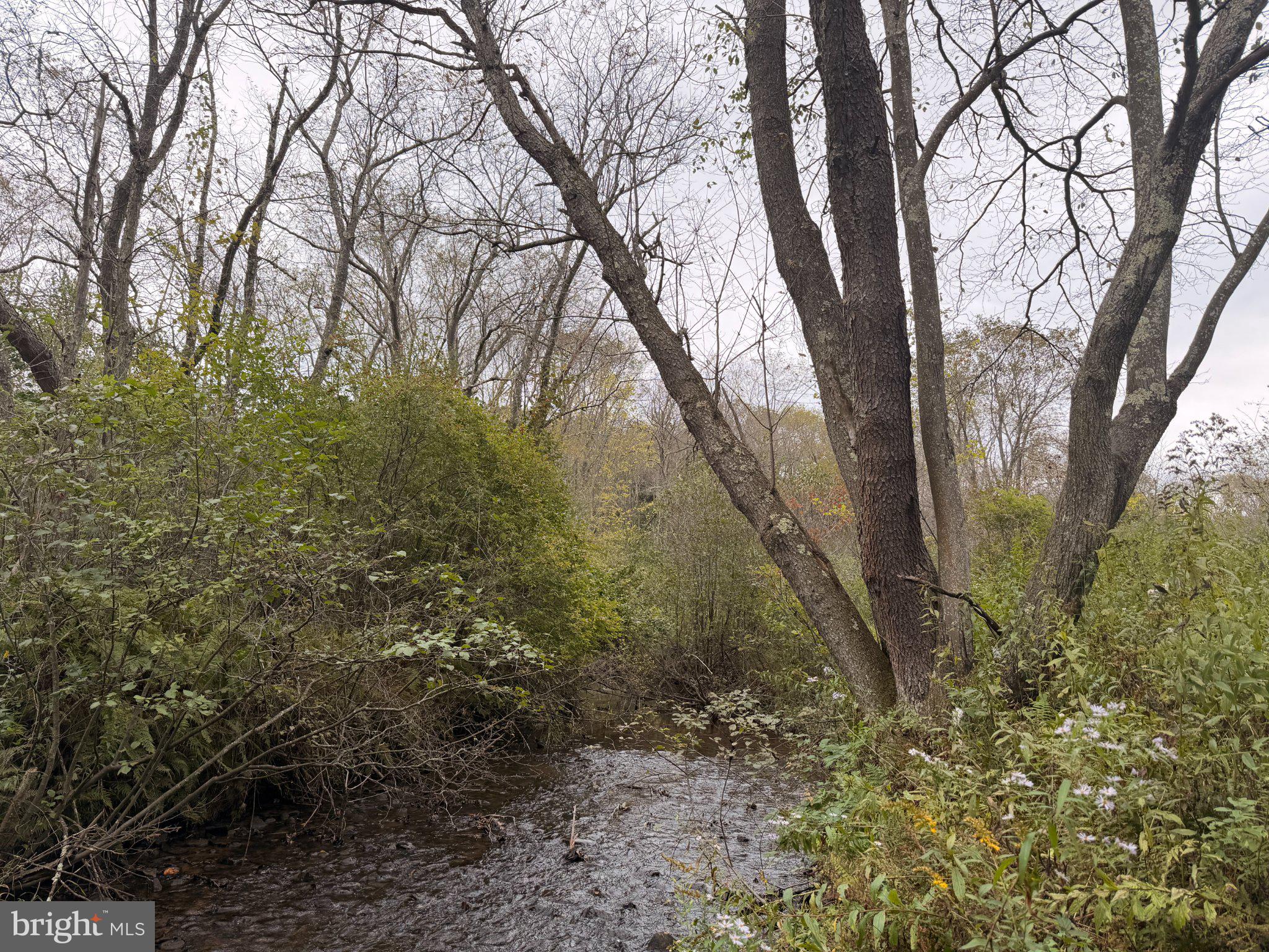 0 Calderwood Road Oakland, MD 21550 - Photo 10 of 38 Little Youghiogheny River