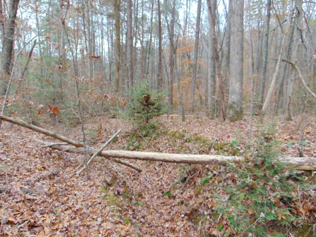 0 Bell Rattle Village Tellico Plains, TN 37385 - Photo 24 of 33