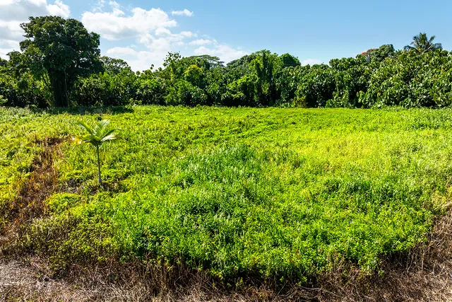 $550,000 | 318 East Kawili Street, Hilo, HI 96720