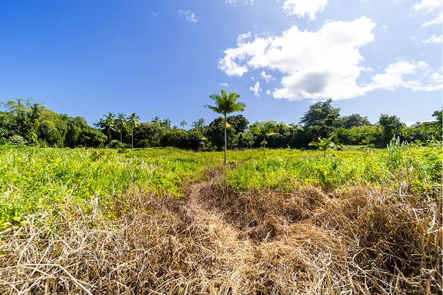 $550,000 | 318 East Kawili Street, Hilo, HI 96720