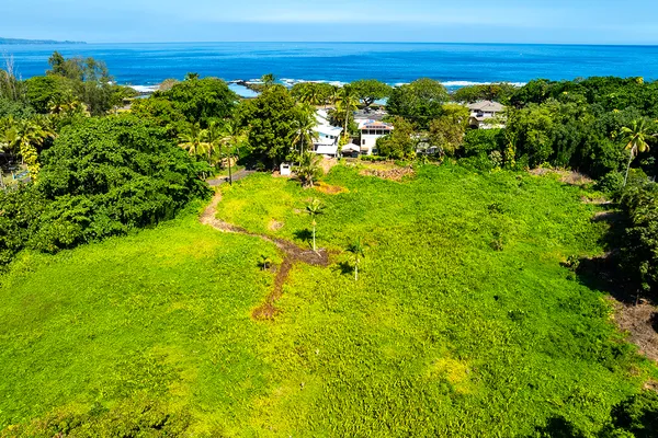 a view of a large yard with lots of green space