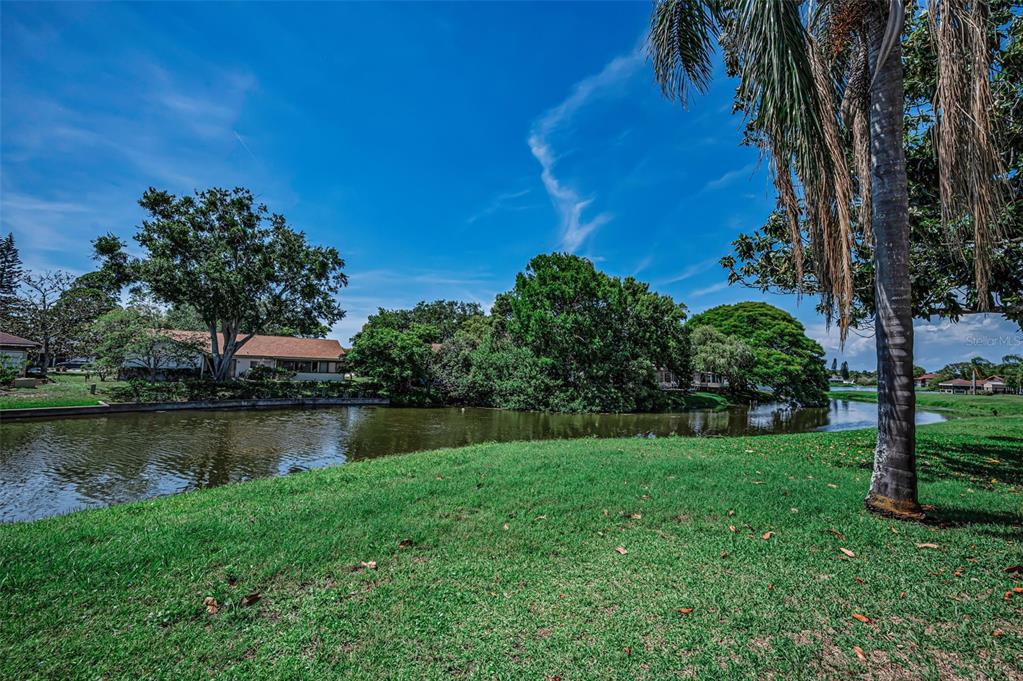 3835 Lighthouse Way New Port Richey, FL 34652 - Photo 2 of 78