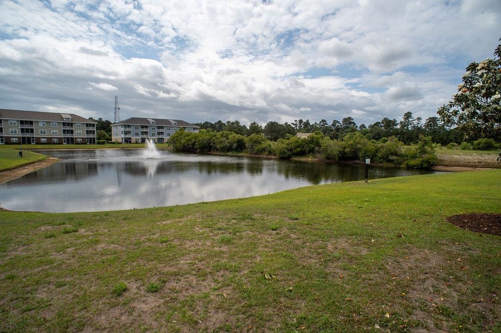 300 Kiskadee Loop, Unit B Conway, SC 29526 - Photo 84 of 86