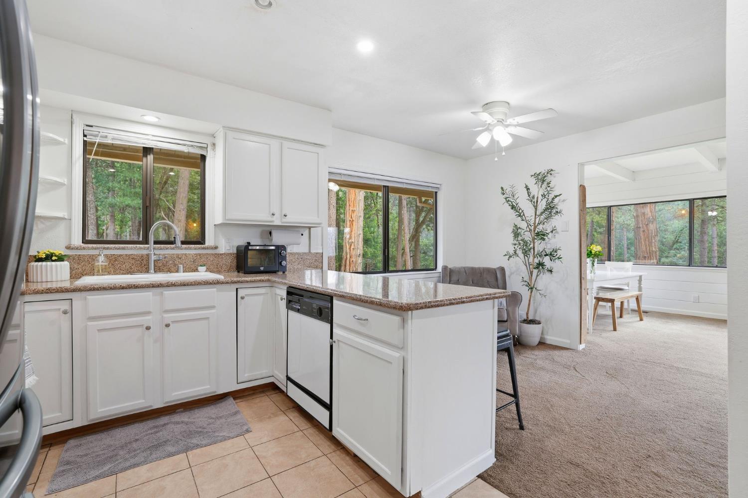4061 Cedar Drive Georgetown, CA 95634 - Photo 21 of 63