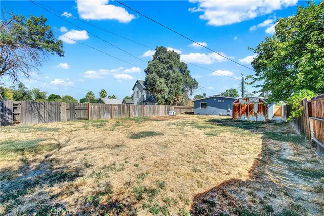 a view of a small garden