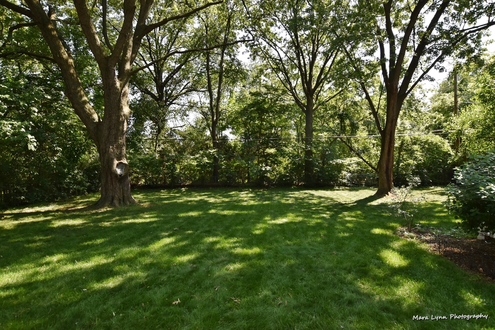 2212 Rockwell Road Aurora, IL 60506 - Photo 40 of 47