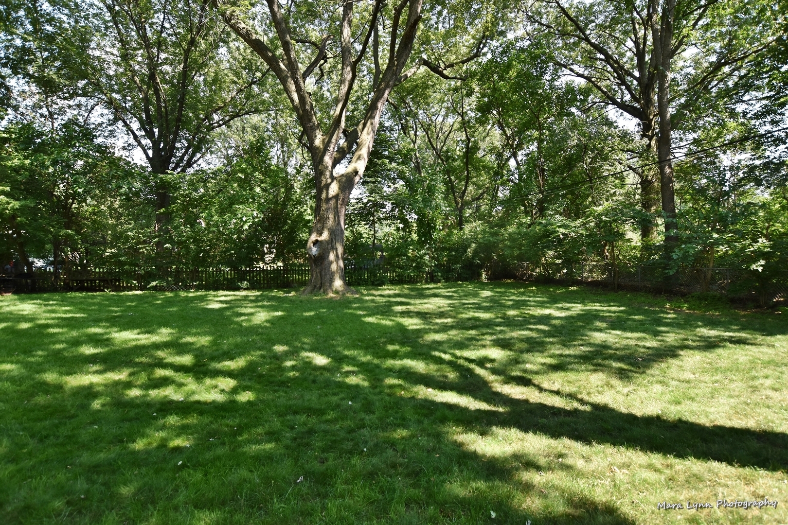 2212 Rockwell Road Aurora, IL 60506 - Photo 45 of 47