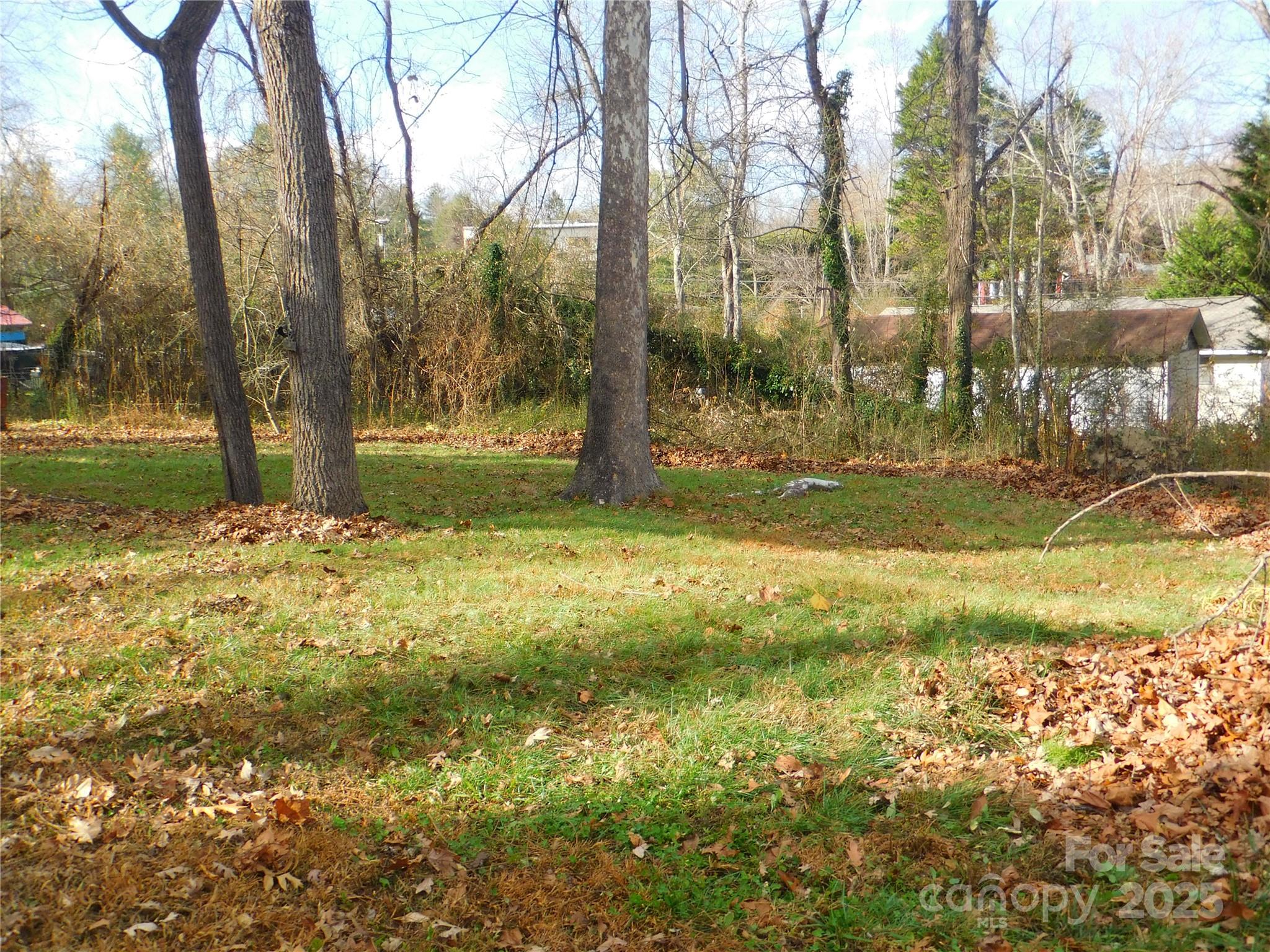 0 Vance Street Hendersonville, NC 28739 - Photo 1 of 8