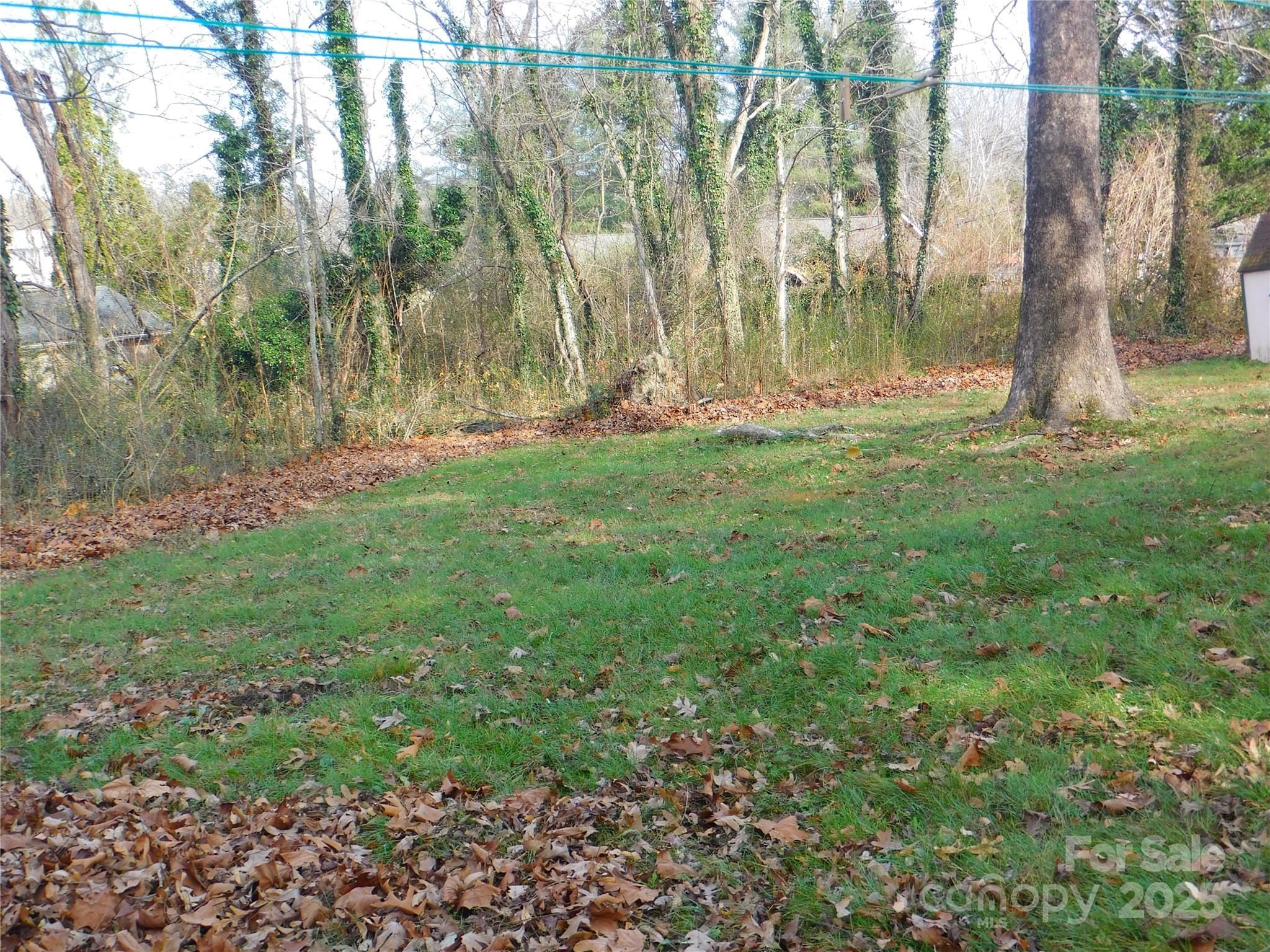 0 Vance Street Hendersonville, NC 28739 - Photo 2 of 8