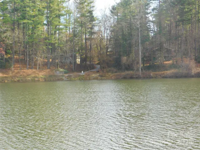 a view of a lake from a yard
