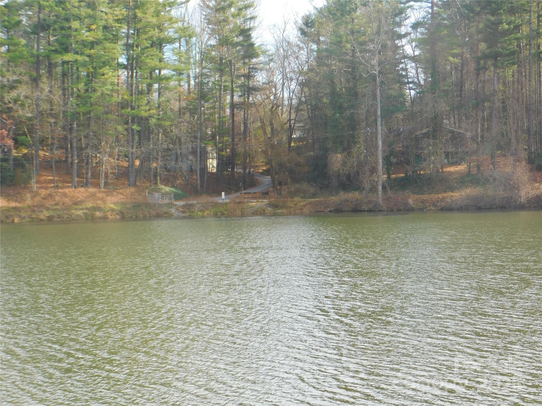 0 Vance Street Hendersonville, NC 28739 - Photo 4 of 8