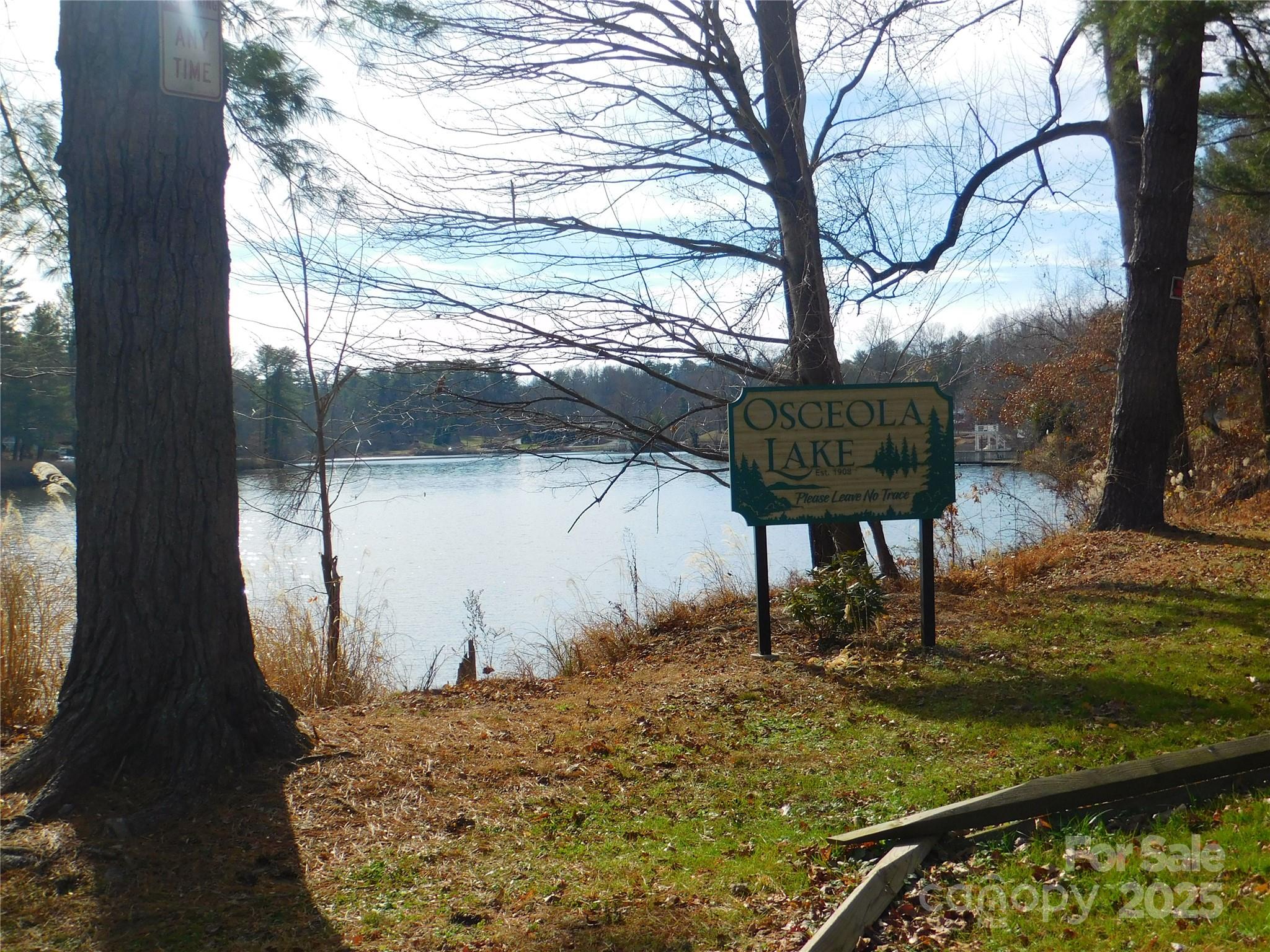 0 Vance Street Hendersonville, NC 28739 - Photo 5 of 8