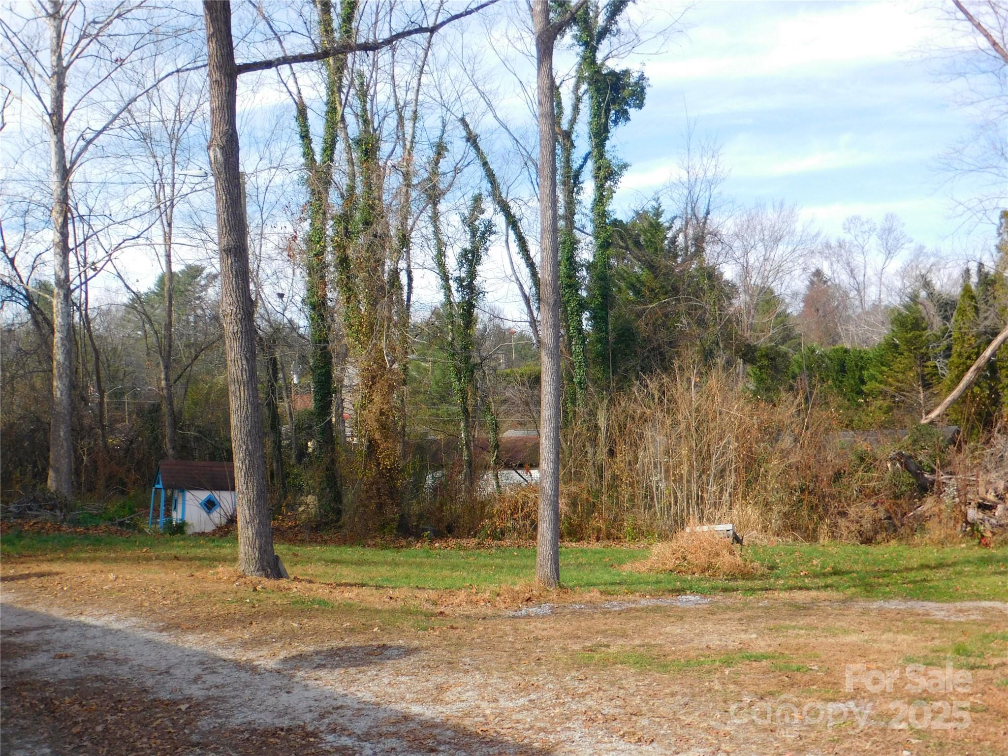 0 Vance Street Hendersonville, NC 28739 - Photo 8 of 8