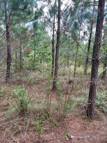 $69,900 | 4 Brunson Teal Road, Unit BFF 4, Patrick, SC 29584