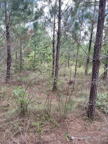 $69,900 | 4 Brunson Teal Road, Unit BFF 4, Patrick, SC 29584