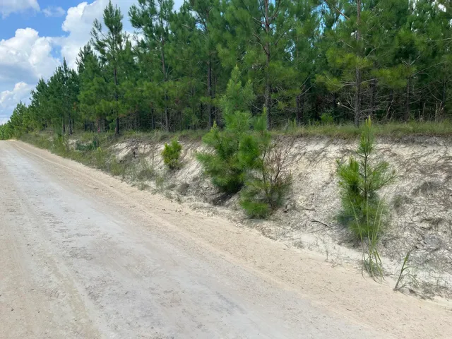 $69,900 | 4 Brunson Teal Road, Unit BFF 4, Patrick, SC 29584