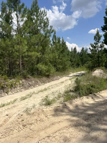 $59,900 | 4 Brunson Teal Road, Unit BFF 4, Patrick, SC 29584