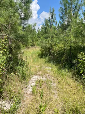 $69,900 | 4 Brunson Teal Road, Unit BFF 4, Patrick, SC 29584