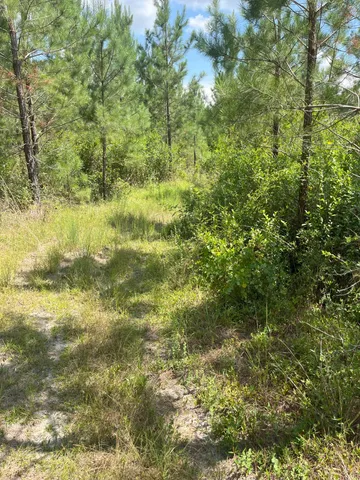 $69,900 | 4 Brunson Teal Road, Unit BFF 4, Patrick, SC 29584