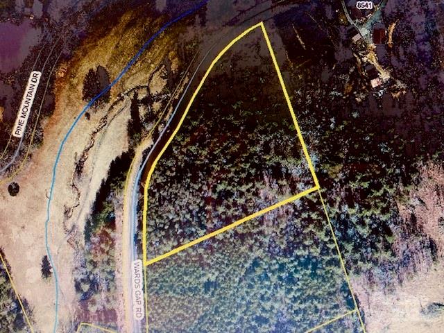 0 Ward Gap Road Connelly Springs, NC 28612 - Photo 4 of 4 a close up of a plant