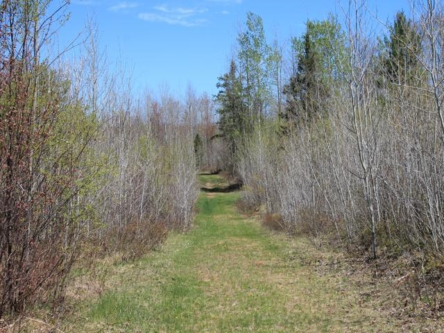 19081 Erickson Drive Dunbar, WI 54119 - Photo 57 of 87