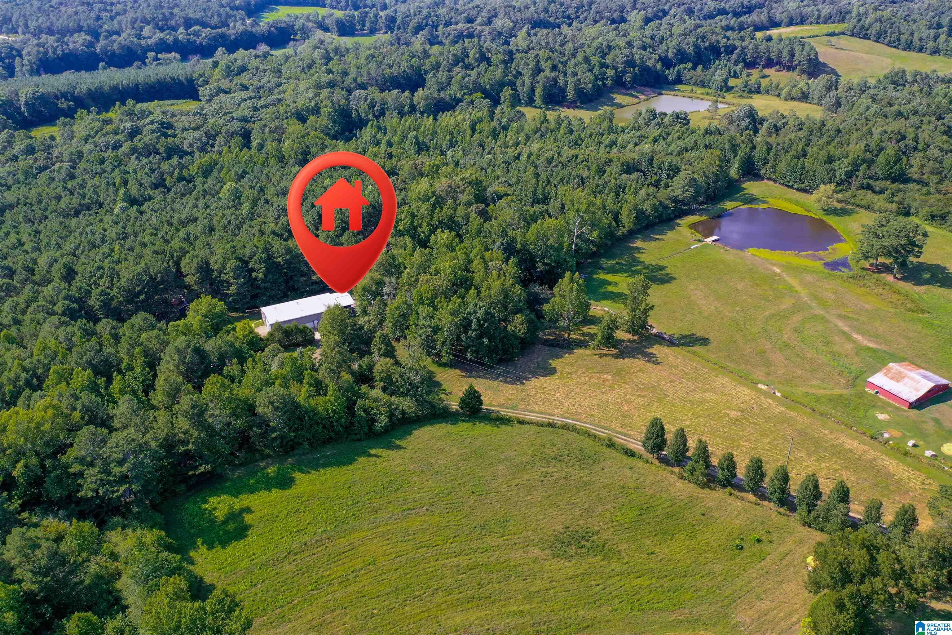 1031 Reneau Road Oneonta, AL 35121 - Photo 5 of 50