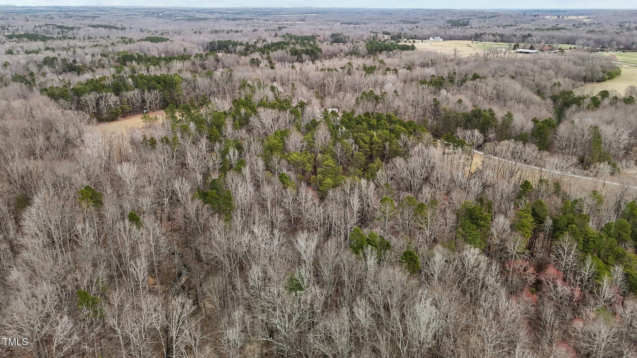 8729-lot B Allison Road Cedar Grove, NC 27231 - Photo 14 of 23 an aerial view of residential houses with outdoor space and trees