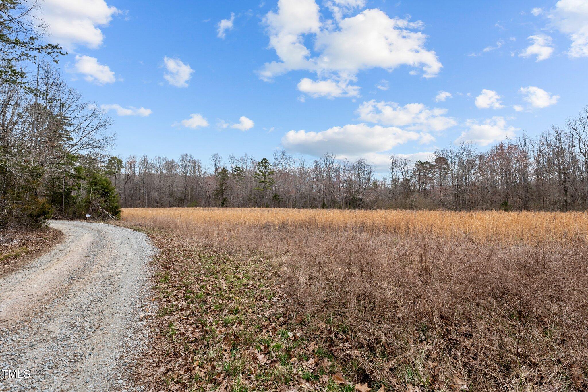 8729-lot B Allison Road Cedar Grove, NC 27231 - Photo 16 of 23