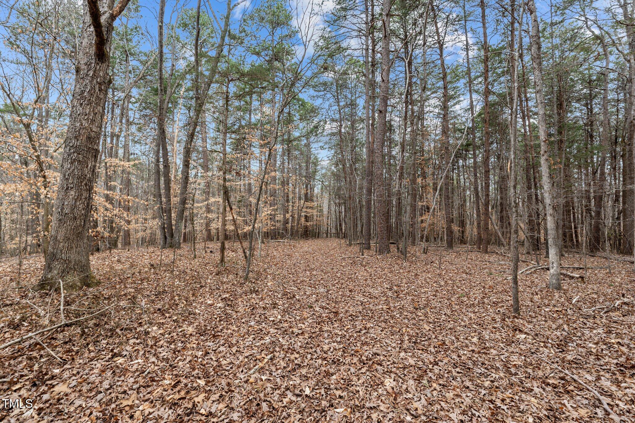 8729-lot B Allison Road Cedar Grove, NC 27231 - Photo 20 of 23 a view of a yard with trees