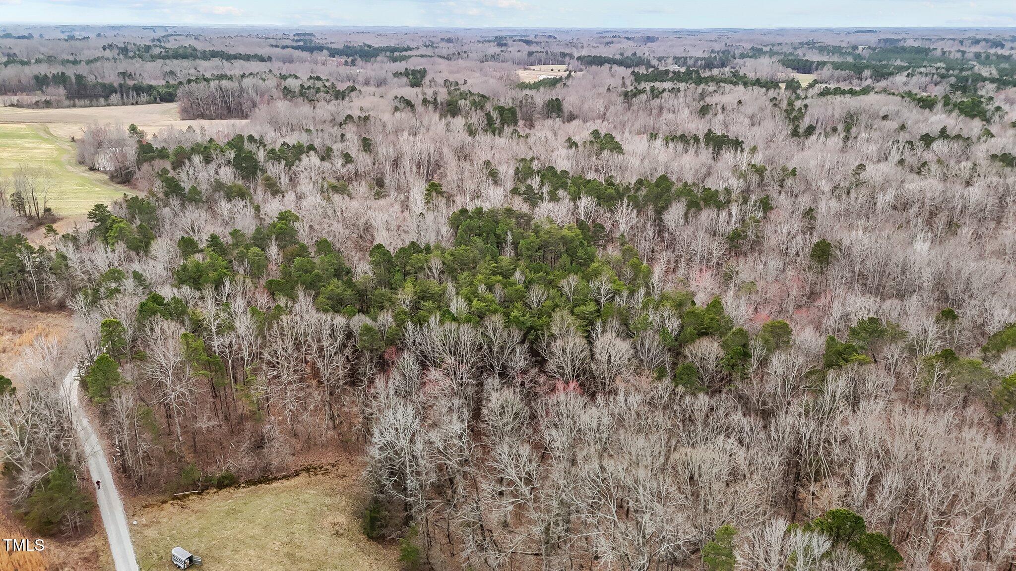 8729-lot B Allison Road Cedar Grove, NC 27231 - Photo 9 of 23 an aerial view of residential houses with outdoor space and trees