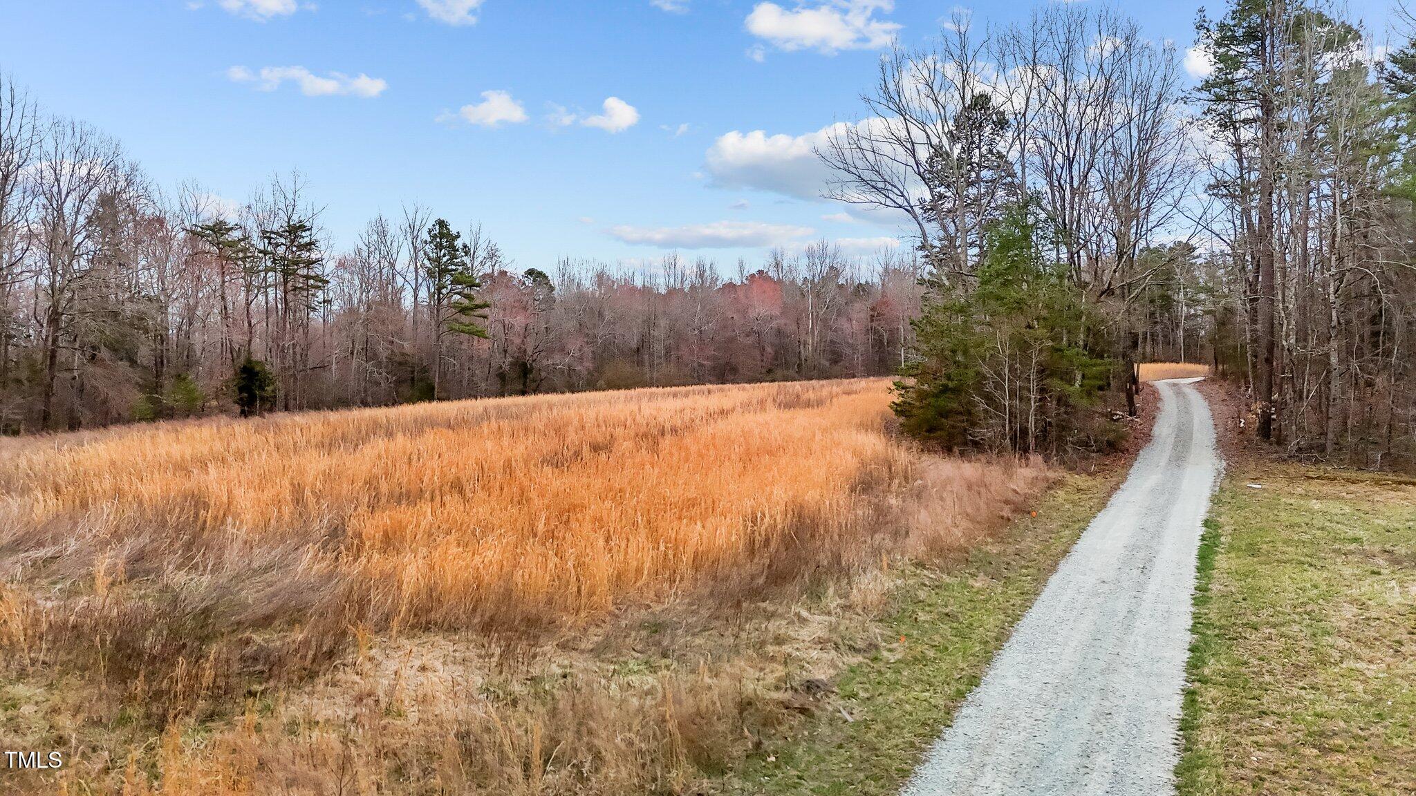 8729-lot B Allison Road Cedar Grove, NC 27231 - Photo 10 of 23 a view of a yard with trees in the background