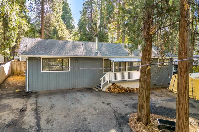a view of a bunch of plants and trees
