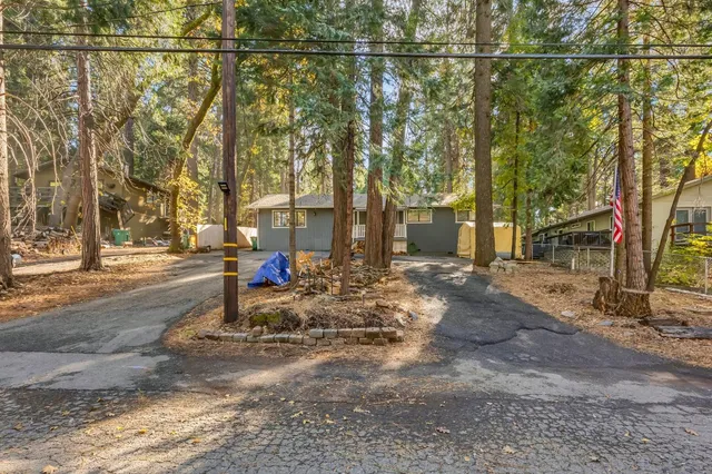 a view of a tree in front of a house