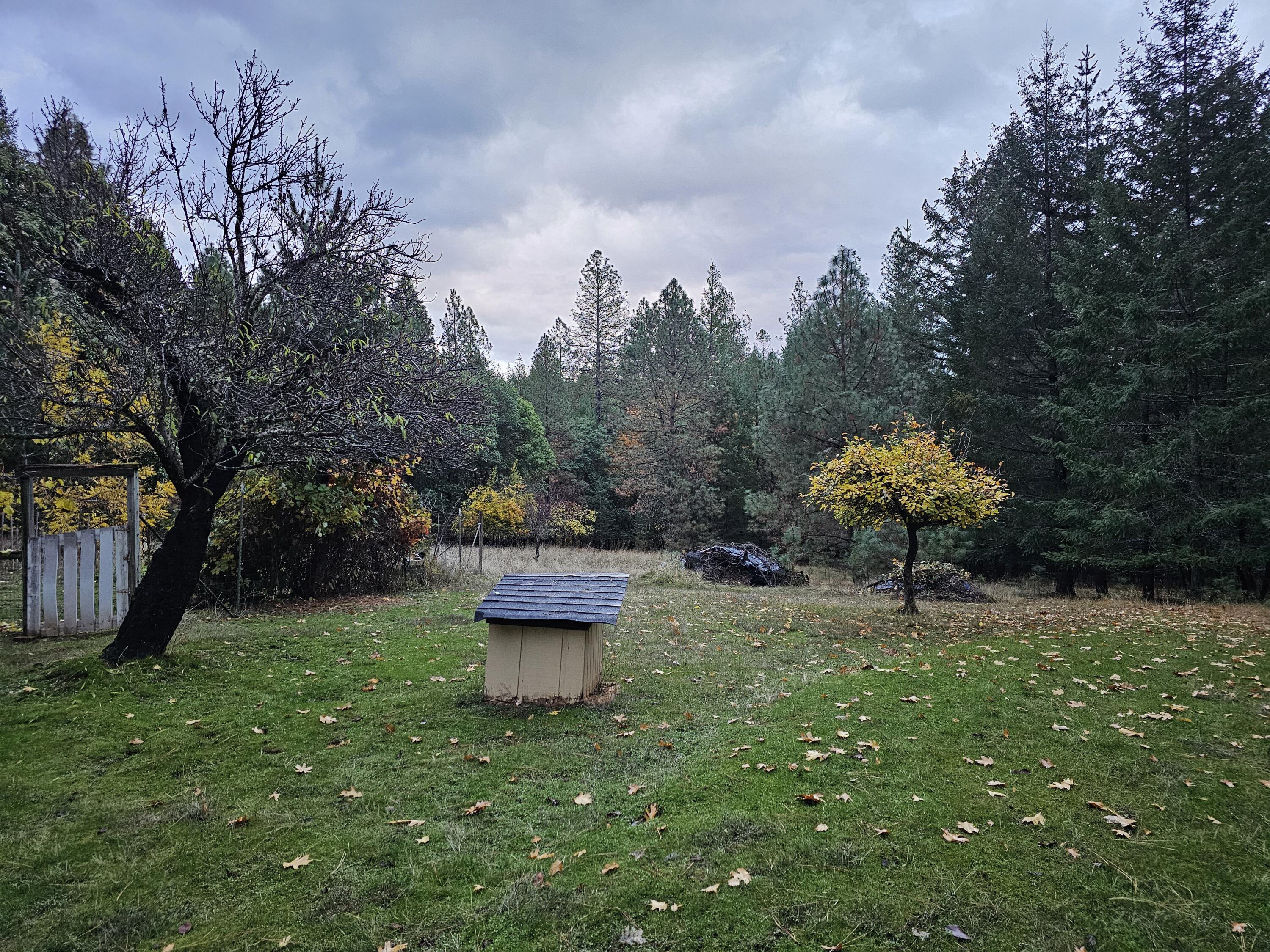 831 Crow Road Merlin, OR 97532 - Photo 26 of 29 Field