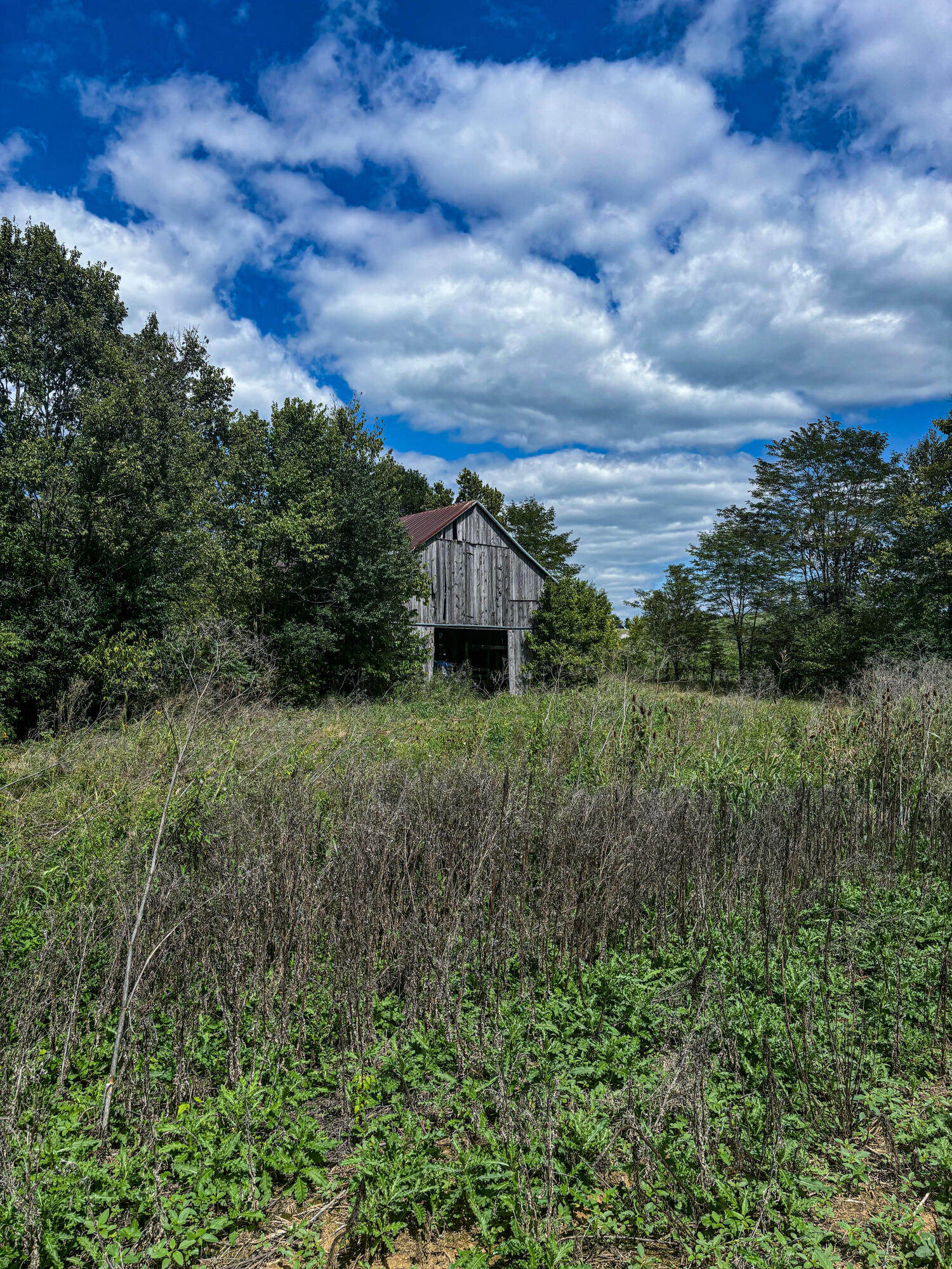 0 Concrete Road Carlisle, KY 40311 - Photo 8 of 18 07