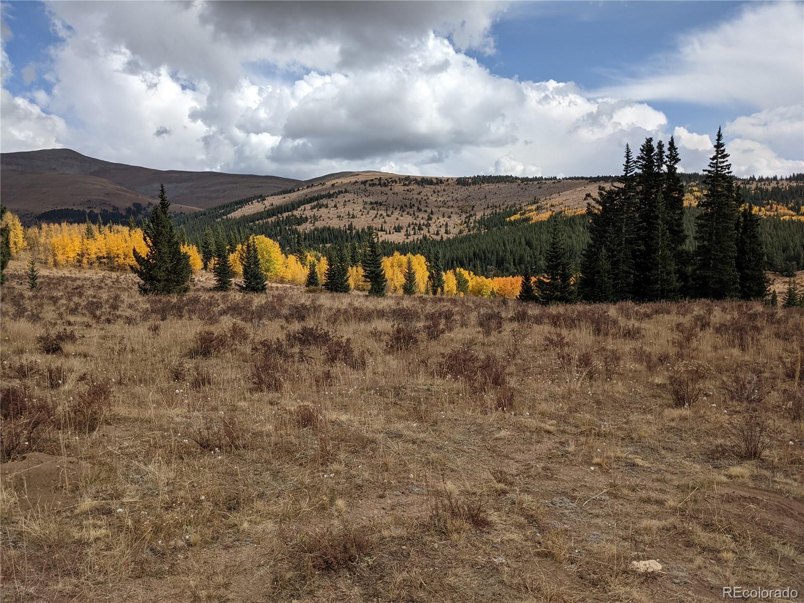 0 Snow Cap Peaks Road Fairplay, CO 80440 - Photo 11 of 20