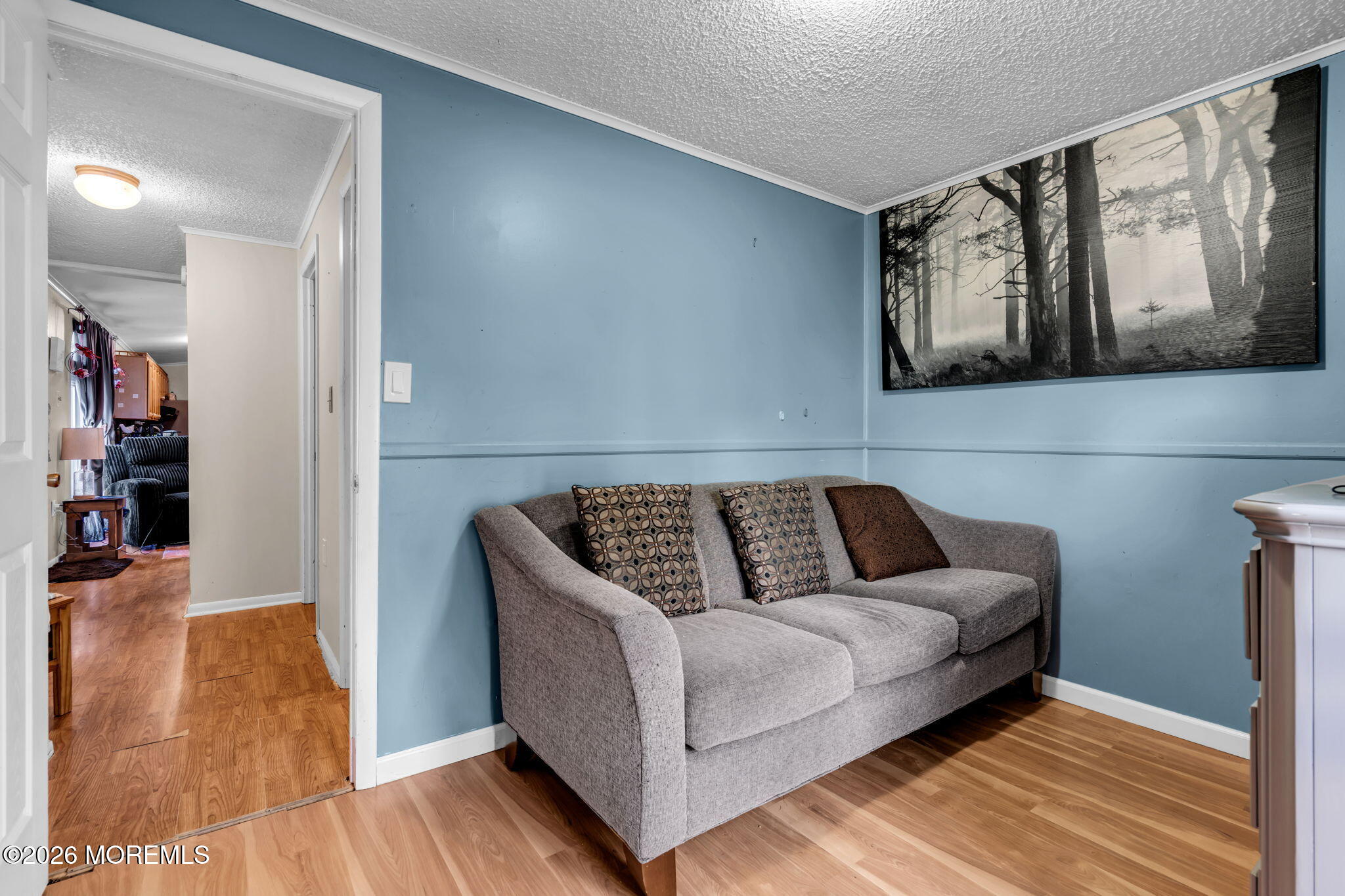 43 Secretariat Street Howell, NJ 07731 - Photo 10 of 28 26-web-or-mls-DSC09844