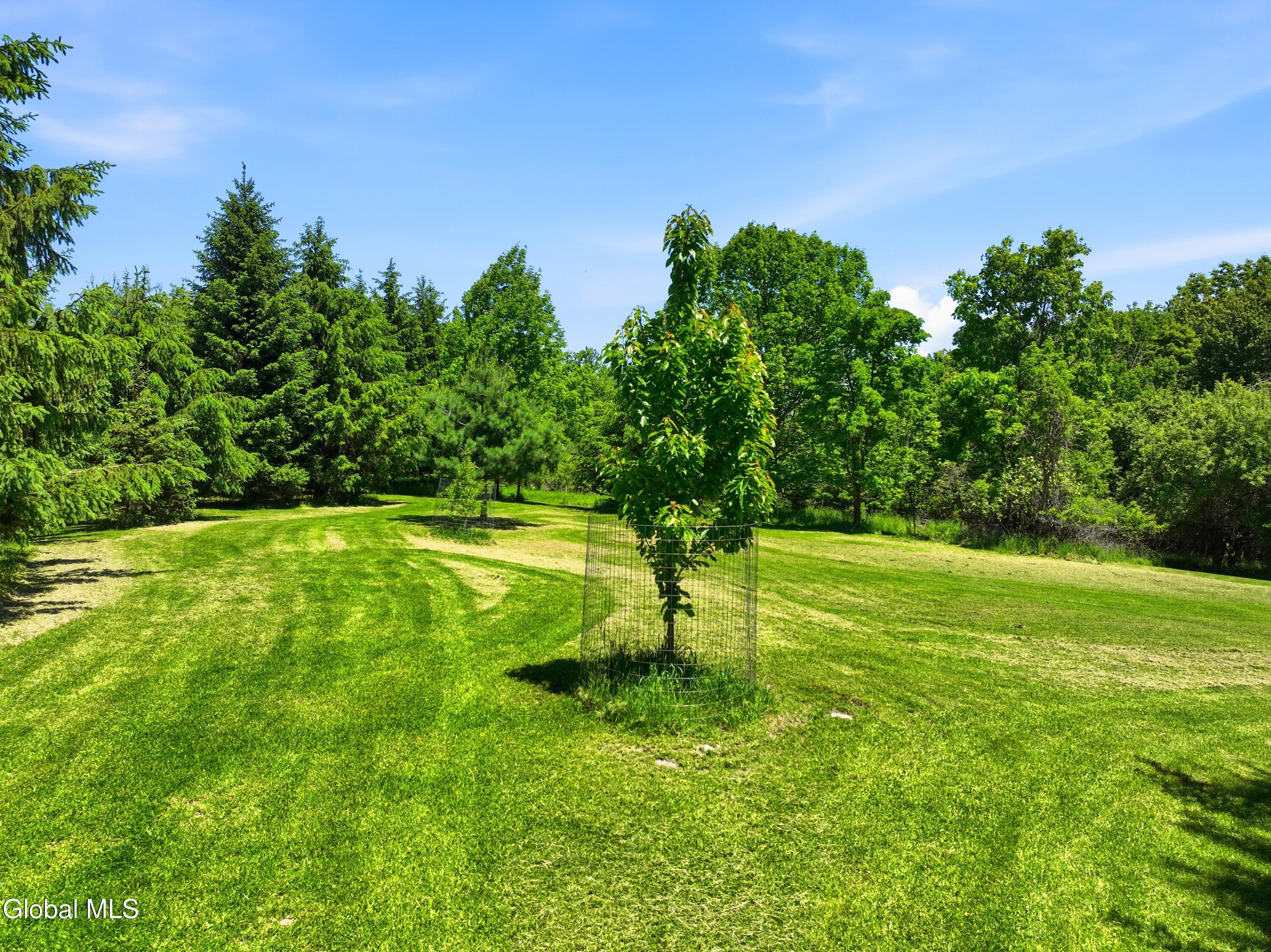 285 Bridge Road Berne, NY 12023 - Photo 38 of 49 DJI_0195