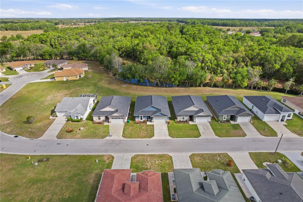 9689 East White Egret Path Inverness, FL 34450 - Photo 41 of 44 a view of an outdoor space yard and patio