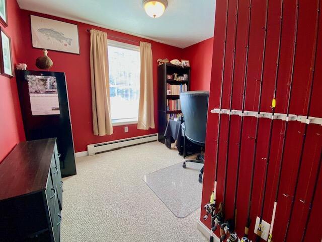 490 South Hiram Road Hiram, ME 04041 - Photo 21 of 32 IMG_4703