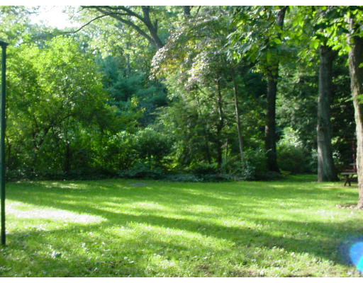 143 Follen Road Lexington, MA 02421 - Photo 3 of 3 a view of a grassy field with trees in the background