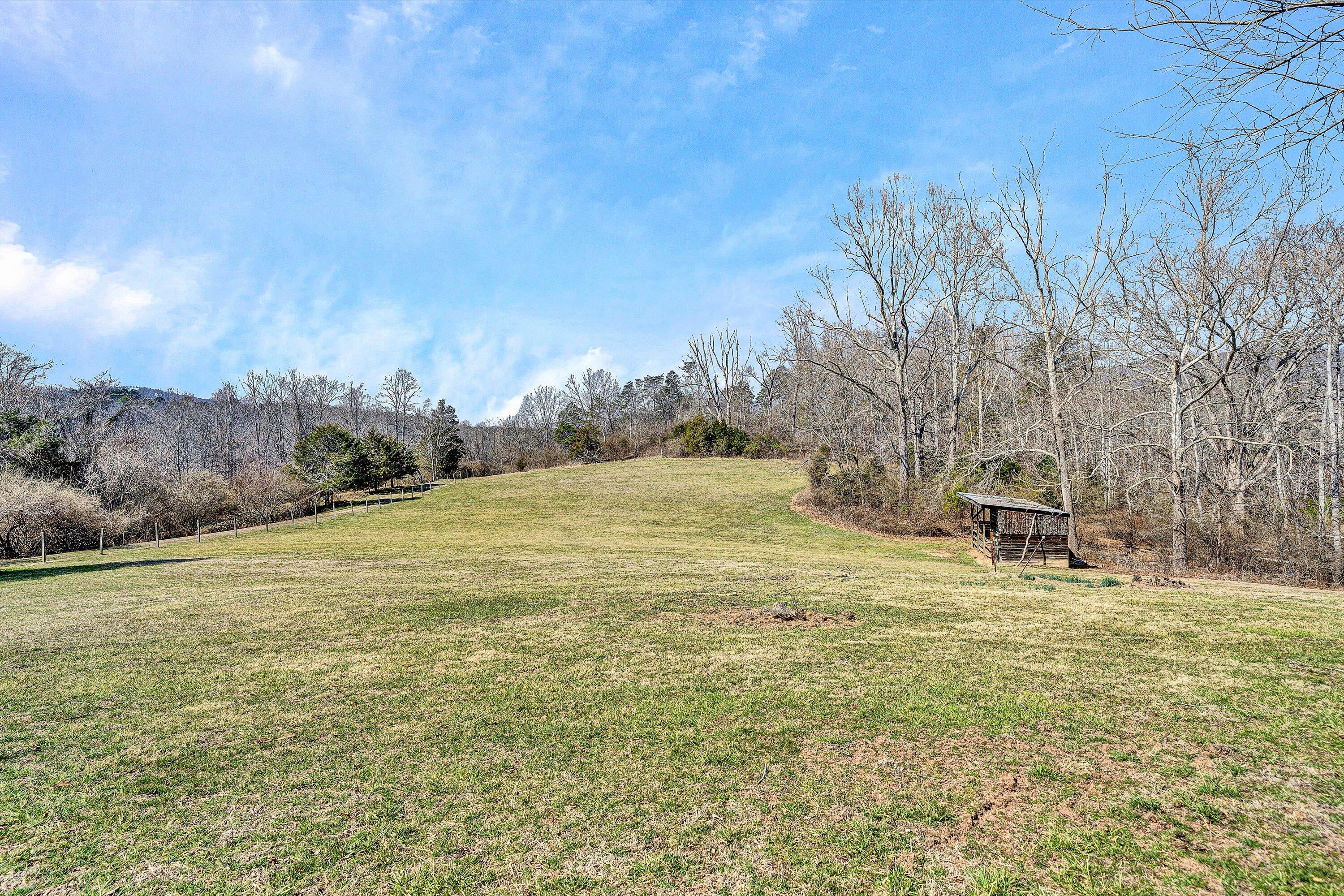 2029 Pike Road Montvale, VA 24122 - Photo 6 of 41 a view of a field with an trees