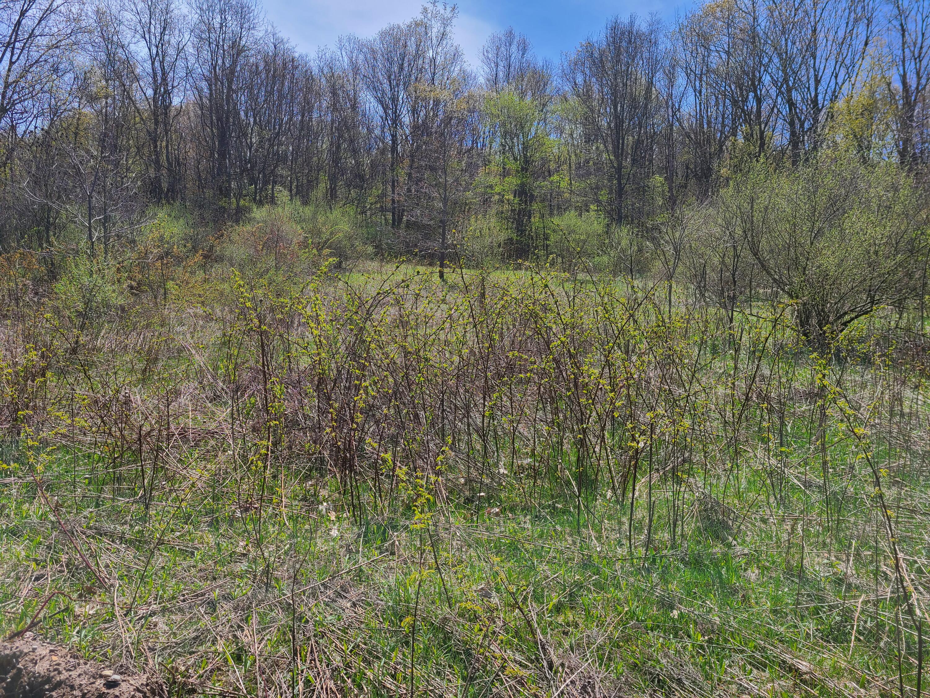 6800 McKibben Road Delton, MI 49046 - Photo 28 of 53 20230504_121124